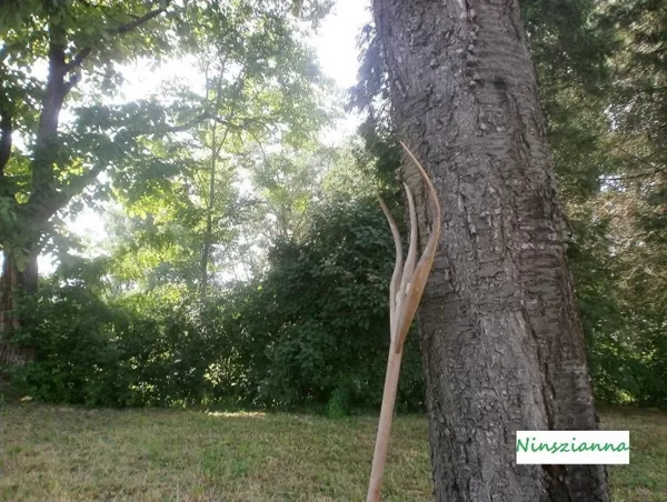 Ninszianna