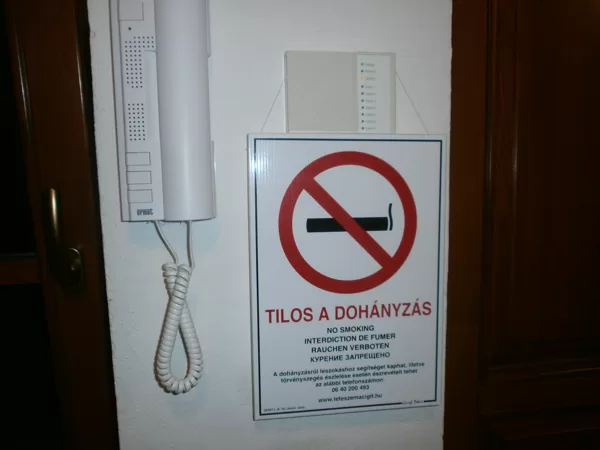 Ninszianna